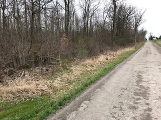 Property photo 36 - LAND AUCTION - 156.63+/- ACRES OFFERED IN 7 TRACTS IN ALLEN COUNTY, INDIANA